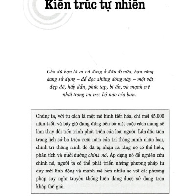 Sơ Đồ Tư Duy