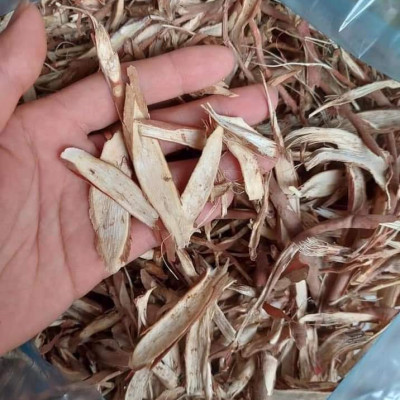 Sâm cau khô đặc sản Kon Tum (1kg) chuyên hỗ trợ cho phái mạnh