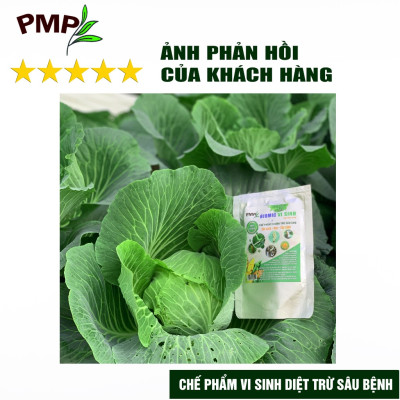 Combo Biomic Vi Sinh & Giấm Gỗ APY Cho Hoa Hồng, Rau Sạch, Cây Cảnh