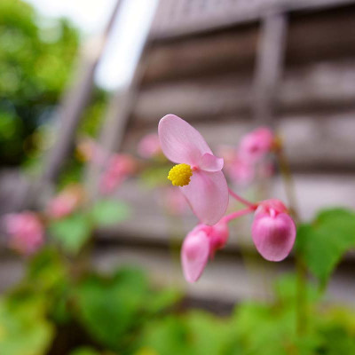 ống kính máy ảnh hiệu Tamron AF 20mm F/2.8 Di III OSD - cho Sony E (F050) - HÀNG CHÍNH HÃNG