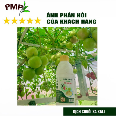 Dịch Chuối Humic X4 PMP Đậm Đặc Gấp 4 Lần - Cho hoa hồng, Hoa lan, Cây cảnh, Rau sạch 1000ml