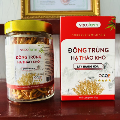 Đông trùng hạ thảo Vacofarm 30g thủy tinh sấy thăng hoa, mua 1 tặng hộp 10g,Mua 2 tặng 1 cùng loại