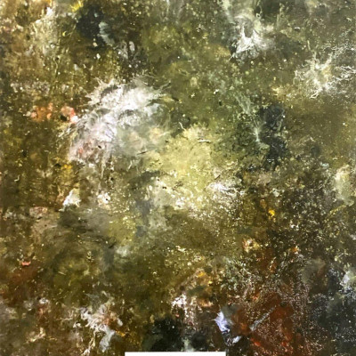 Sách - Tuổi Trẻ Lạc Lối