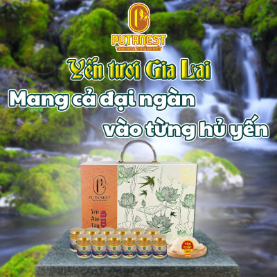 Yến chưng Isomalt Đông trùng hạ thảo PUTANEST hộp quà cao cấp 12 hũ 70ml cho người tiểu đường
