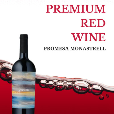 Rượu vang đỏ Promesa Monastrell Syrah