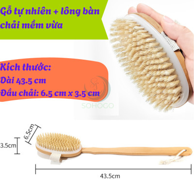 Bàn chải tắm cán dài bằng gỗ tự nhiên - Bàn chải massage cơ thể cao cấp - Cọ tắm khô & ướt cán dài tiện lợi - Bàn chải chà lưng chống tế bào chết - Bàn chải tắm toàn thân spa tại nhà