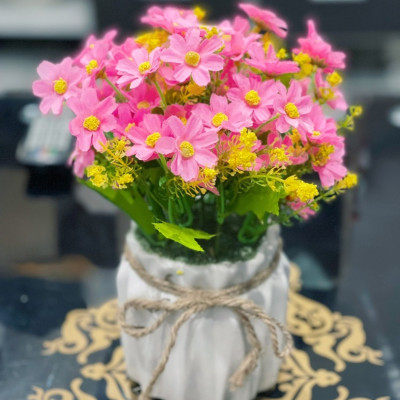 Chậu cây giả để bàn làm việc, bình hoa để bàn trang trí - Cây giả, hoa lụa trang trí nhà cửa