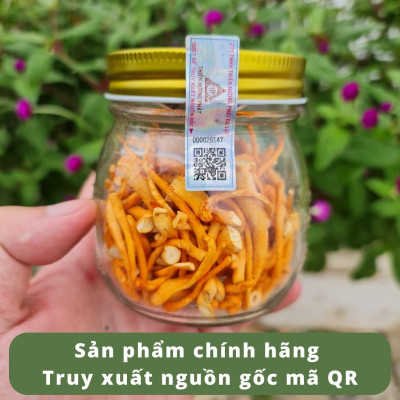 Đông Trùng Hạ Thảo Sấy Thăng Hoa Cao Cấp (hũ 12 gram) - Thiên Hương Phát Đà Lạt