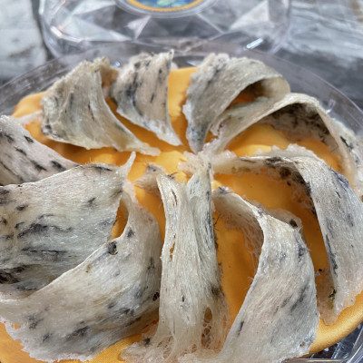 Yến Thô [Thiên Gia Phúc] 100g - Tặng kèm đường phèn, táo đỏ, hạt chia