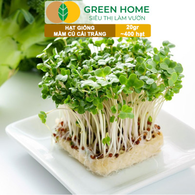 Hạt Giống Rau Cải Mầm Greenhome, Gói 20g~400 hạt, Dễ Trồng Quanh Năm, Nảy Mầm Cao, Thu Hoạch Nhanh, Năng Suất Cao R10