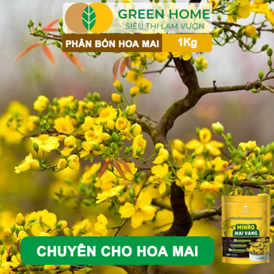 Phân Bón Hoa Mai Greenhome, Minro, Bao 1kg, Hữu Cơ, Dưỡng Cây, Bung Chồi, Mượt Lá, Khoẻ Rễ, Bền Hoa