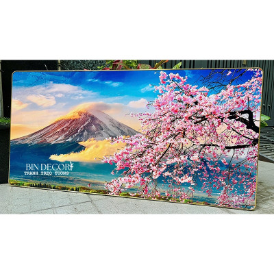 (ẢNH CHỤP) Tranh treo tường tráng gương núi phú sĩ và cành hoa uv mặt mica sáng bóng
