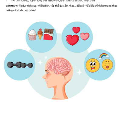 Combo 2 cuốn Liệu pháp dinh dưỡng cho mọi loại bệnh + giải mã 11 hệ cơ quan trong cơ thể