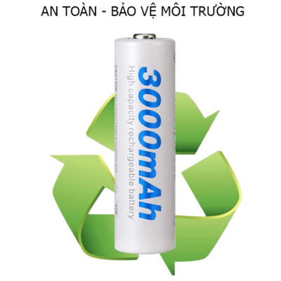 Combo 4 pin sạc AA 3000mAh kèm sạc BESTON C9009 - sạc nhanh tự ngắt - có đèn báo pin đầy - Hàng  nhập khẩu