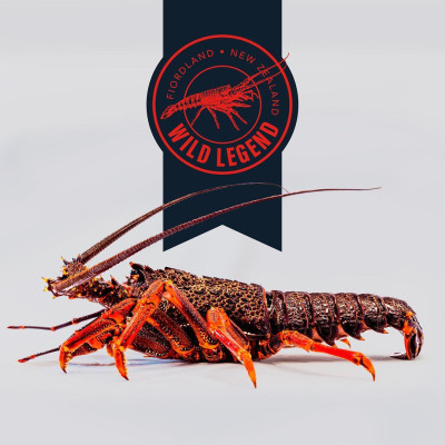 Tôm hùm đá đông lạnh Nam Úc 800gr - 1kg