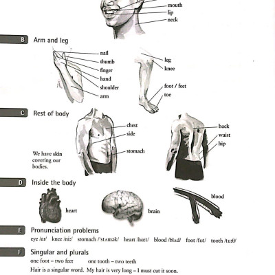 English Vocabulary in Use: Elementary Book with Answers Reprint Edition: Vocabulary Reference and Practice (CD-ROM)