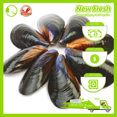 [GIAO NHANH HCM] Vẹm Đen Chile Nguyên Vỏ - Túi 1Kg