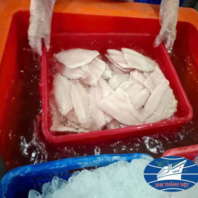 CÁ DIÊU HỒNG PHI LÊ  SIZE 300 UP