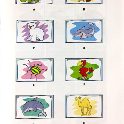 Cambridge English Flyers 2 for Revised Exam From 2018 Student