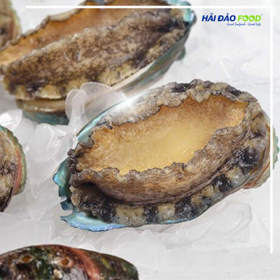 Bào Ngư Thượng Hải Size 20-24 Con/Kg- 1 Kg