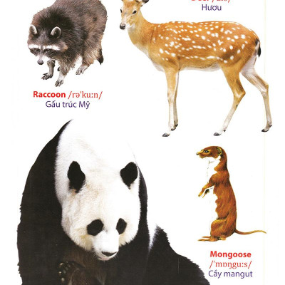 Từ Điển Anh - Việt Bằng Hình: Động Vật (Dành Cho Trẻ Từ 2 - 6 Tuổi)