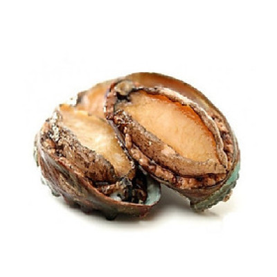 BÀO NGƯ 1KG