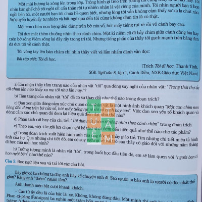 Sách - Phát triển năng lực Ngữ Văn 8