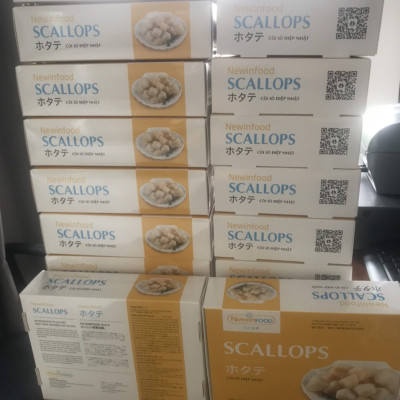 Còi Sò Điệp Đại 18-20 Coi/ kg