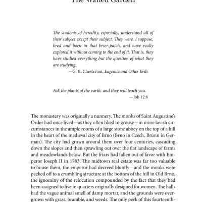 The Gene: An Intimate History - Paperback