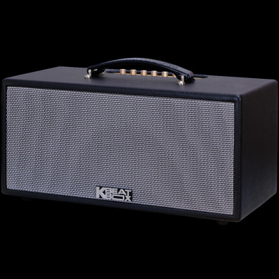 Dàn âm thanh di động xách tay mini ACNOS KS363V