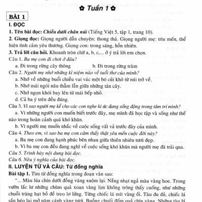 Bồi Dưỡng Tiếng Việt Lớp 5 (Dùng Cho Bộ Sách Chân Trời Sáng Tạo) - HA