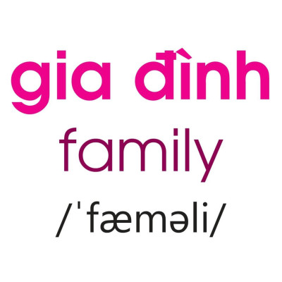 Thẻ Flashcard Theo Phương Pháp Glenn Doman - Thế Giới Quanh Em: Gia Đình - Bản Thân