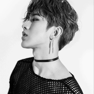 Bông tai nam hình lông vũ BT379