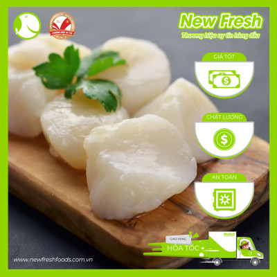 [GIAO NHANH HCM] Cồi Sò Điệp Việt Nam - Túi 500Gr (60-80 Con)