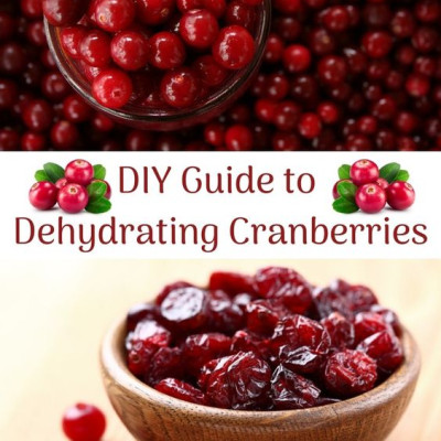  Quả Nam Việt Quất khô – Cranberry 350gr dan.d.pak,,không chất bảo quản,giải độc tố trong cơ thể,làm đẹp da,là liều thuốc hữu hiệu để hạn chế nguy cơ bị ung thư, đột quỵ, nhiễm virus, bệnh tim mạch