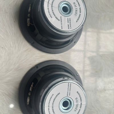 CỦ LOA BASS RỜI 16 HÀNG CHÍNH HÃNG HẢI TRIỀU COIL 38 TỪ 100 GÂN VẢI MÀN VÀNG (GIÁ 1 CÁI)