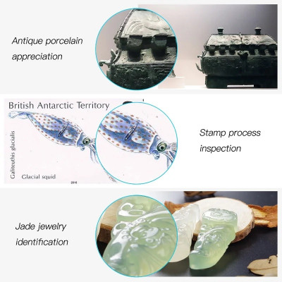 Kính Hiển Vi Kỹ Thuật Số Zoom 1000X Kỹ Thuật Số 1080P WIFI Đèn LED Kết Nối Điện Thoại Không Dây F210 - Hàng Nhập Khẩu