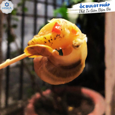 Ốc bulot Pháp ( size 60-80 con) - 1 kg