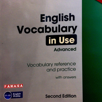 English Vocabulary in Use: Vocabulary Reference and Practice (CD-ROM)