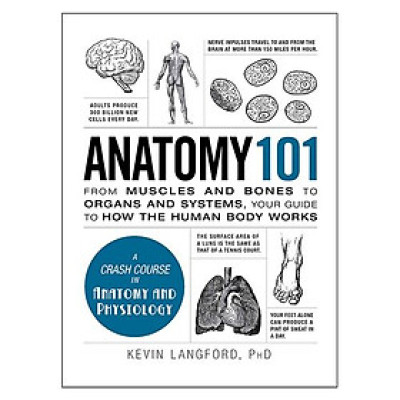 Anatomy 101