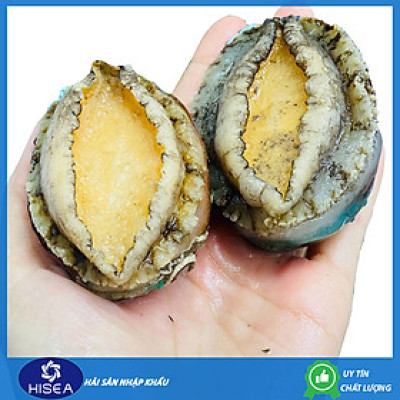 Bào ngư Chile ( size 20-24 con)- 1kg
