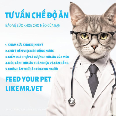 [Hỏa tốc] Gói 300g tiện lợi - Thức ăn cho mèo MRVET T1/T2 Omega-3 thích hợp cho mèo ở mọi lứa tuổi