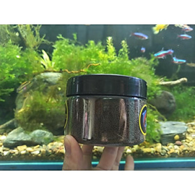 Thức ăn tăng màu và tăng size HIKARI - Thức ăn cao cấp cho cá Đĩa, Cầu Vồng,Thần Tiên -Phượng Hoàng -Cám HIkari