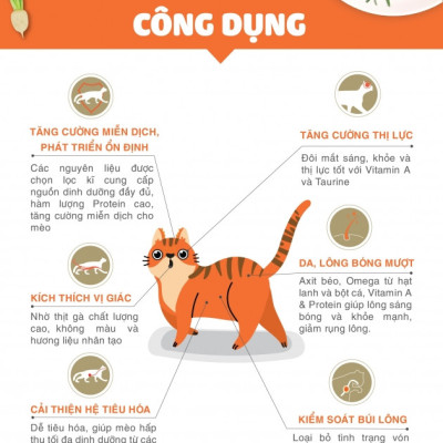 [ 13.5 KG ] - Thức ăn hạt Cateyes cho mèo mọi lứa tuổi