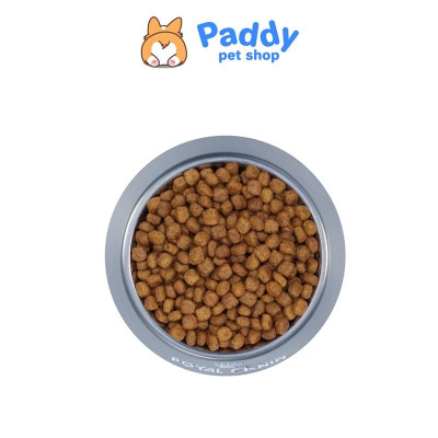  Hạt Royal Canin Indoor 27 Cho Mèo Nuôi Trong Nhà
