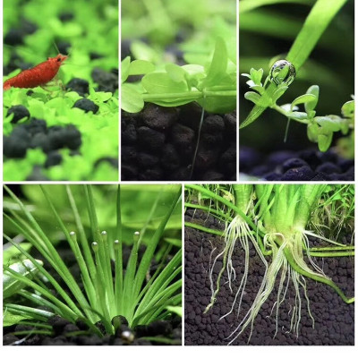 Đất Nền Trồng Cây Thủy Sinh, Phân nền SMEKONG 2KG giàu dinh dưỡng, trang trí bể cá