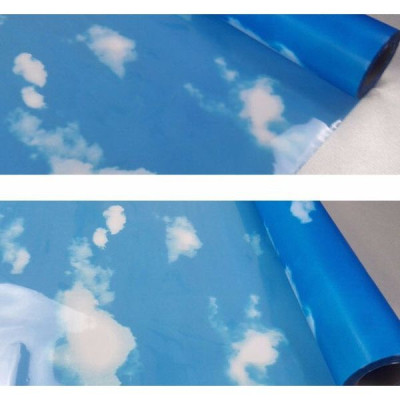 Decal dán kính mờ có sẵn keo bầu trời xanh  -  decal dán kính phòng khách - phòng ngủ - khách sạn - nhà hàng DK56