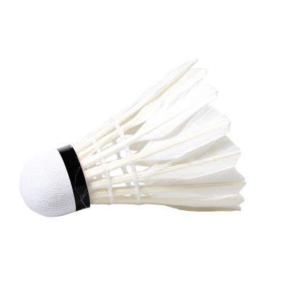 Hộp 6 cầu cầu lông AOLIKES S1006C