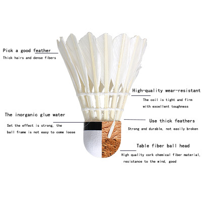 Hộp 12 quả cầu lông AOLIKES S30012C