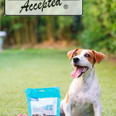 1 thùng (10 gói) Veggiedent sạch răng, thơm miệng, giảm cao răng cho chó (Virbac)